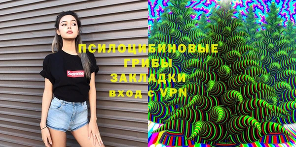 твердый Богородицк